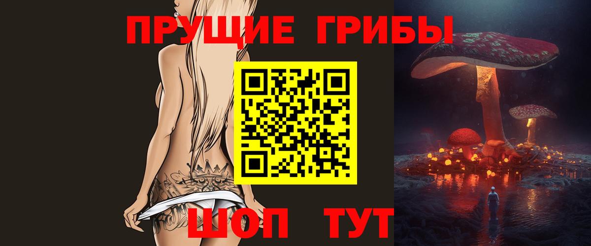 Аша  Галлюциногенные грибы Psilocybe  Вход с VPN 